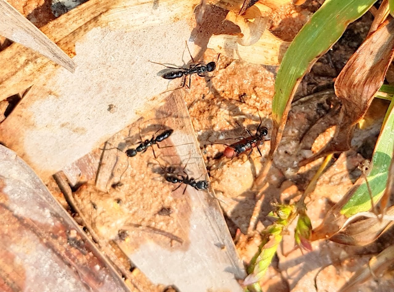 tmp_2018031511504984591